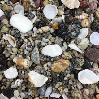 Baja Shell Pebble Mix