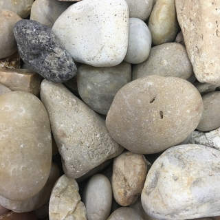 Coral 1" - 1 1/4"
