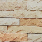 Fossil-Sandstone-Natural