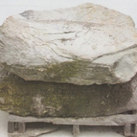 Fieldstone-XLarge-Steppers.jpg