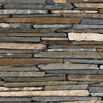 veneer-Archalyte.jpg