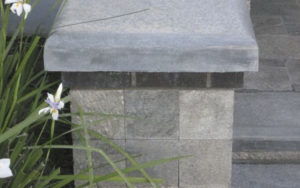 Plants next to a gray stone